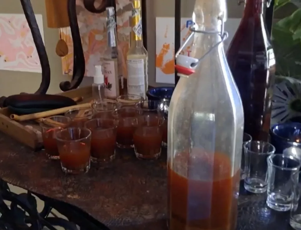 Seanse z ajahuasko, &Scaron;panija. Duhovno potovanje.san pedro, wachuma, ayahuasca, psihoaktivne snovi