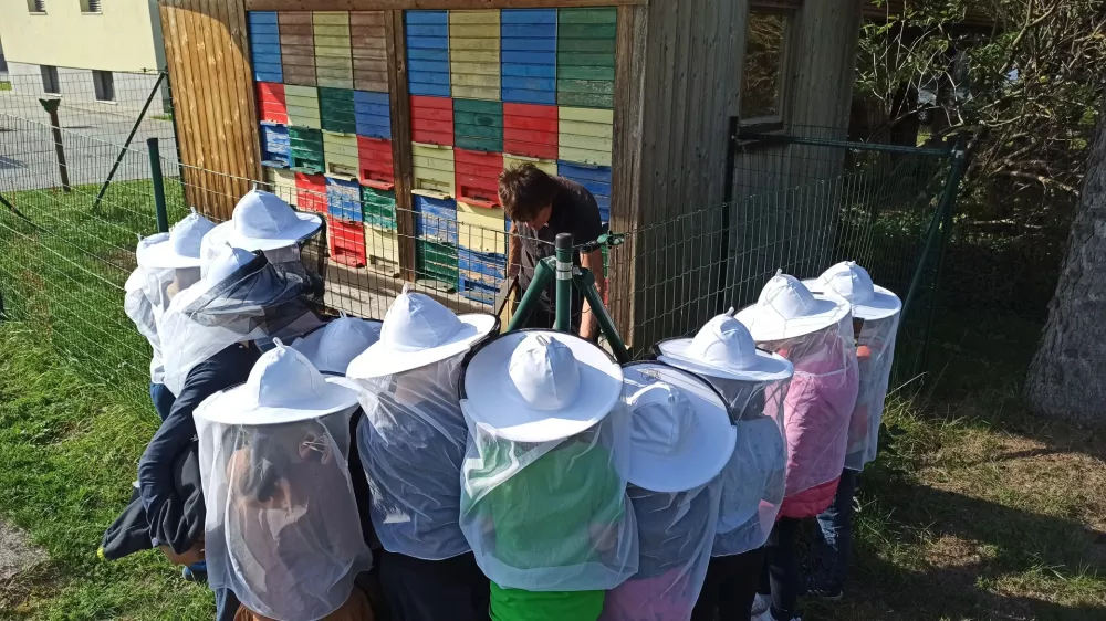 Krožek, v katerem imajo mladi čebelarji dobro letino