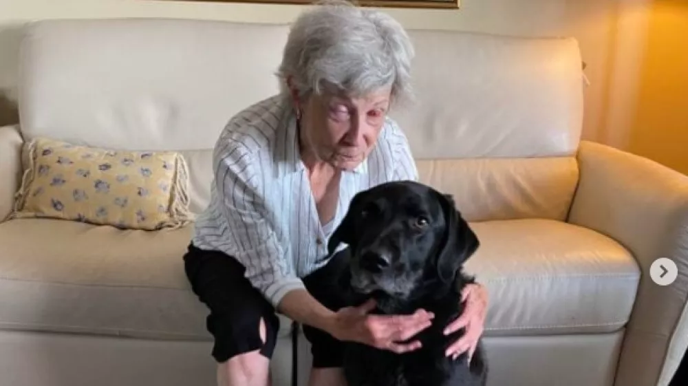 Gail Lane po operaciji. Vir: IG