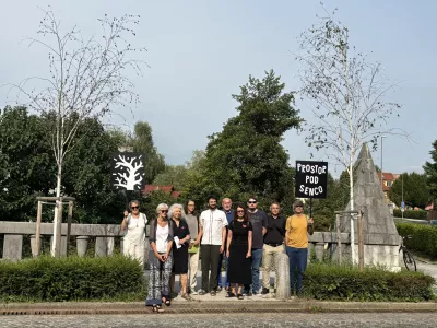 Pismo za za&scaron;čito dreves podprlo več strokovnjakov