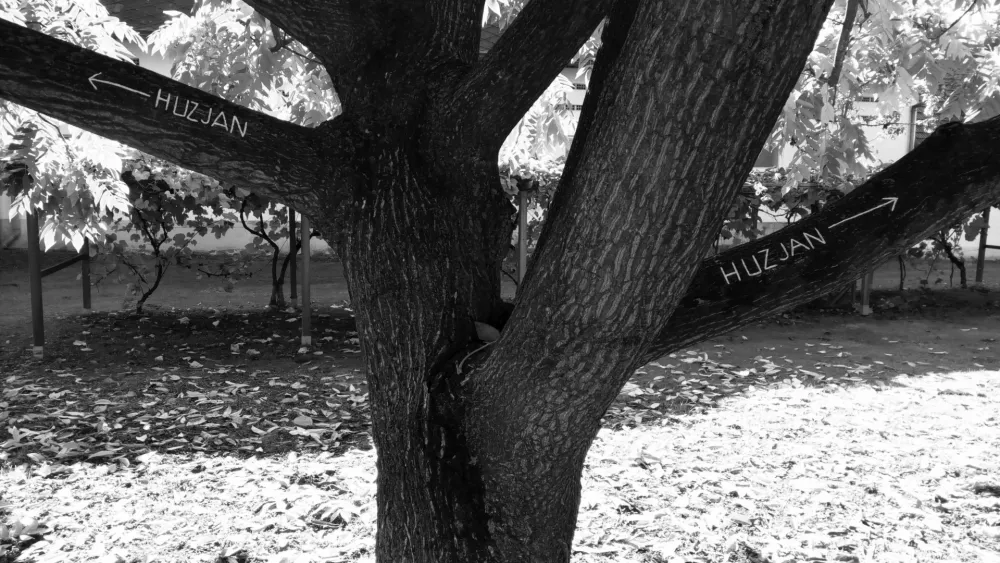 Potujoči projekt I&scaron;tvana I&scaron;ta Huzjana Sava - Mura F osebni arhiv umetnika