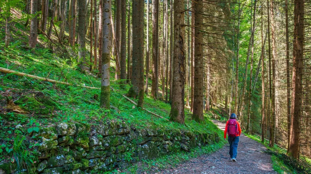 Simbolična fotografija: Profimedia