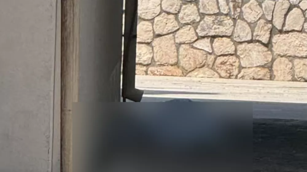 pa&scaron;man truplo