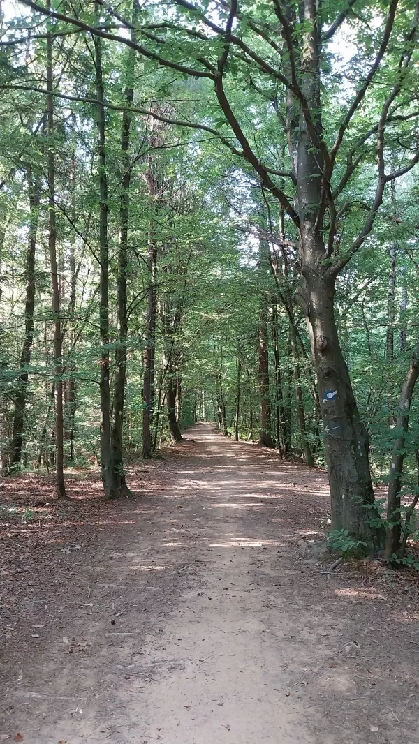Priljubljena izletni&scaron;ka točka, kot zelena dnevna soba nad mestom