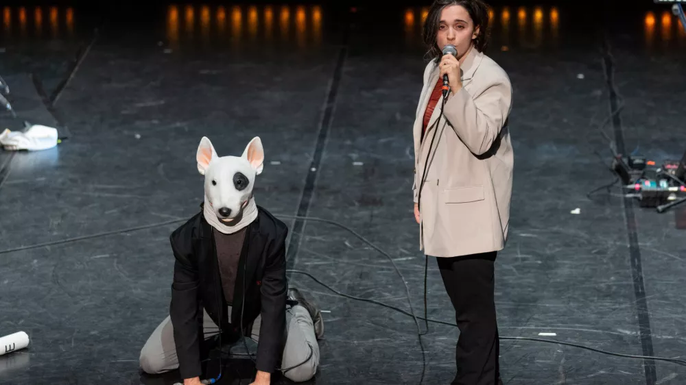 Smrdljivi koncert na &scaron;tirih tacah, Mladi levi