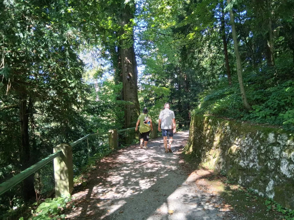 Ruska steza Rimske terme / Foto: Katja Petrovec