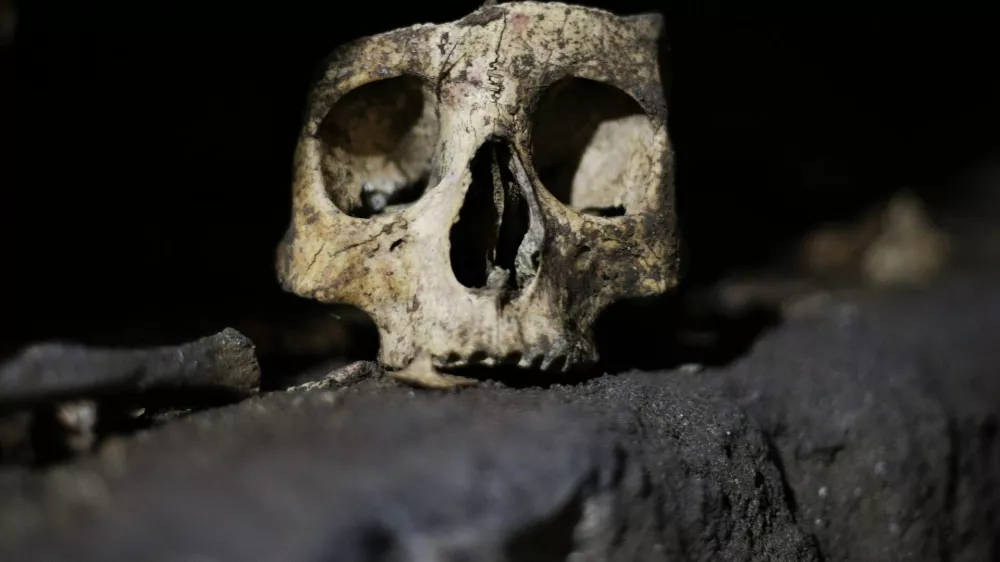 A skull is pictured inside the catacomb of Priscilla in Rome November 19, 2013. The catacomb, used for Christian burials from the late 2nd century through the 4th century, reopened on Tuesday to the public after years of restoration. The complex will also be viewable in a dedicated section of Google Maps, according to a Vatican press release. REUTERS/Max Rossi (ITALY - Tags: SOCIETY TRAVEL)
