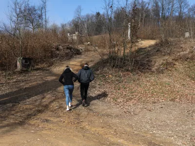 - 20.02.2024. - Območje lanskoletnega poseka dreves pod Rožnikom.//FOTO: Bojan Velikonja / Foto: Bojan Velikonja