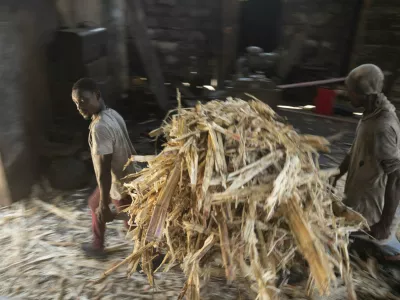 Workers carry remaining sugar cane fibers after squeezing the juice out in Leogane, Haiti, Thursday, July 21, 2022. (AP Photo/Odelyn Joseph) / Foto: Odelyn Joseph