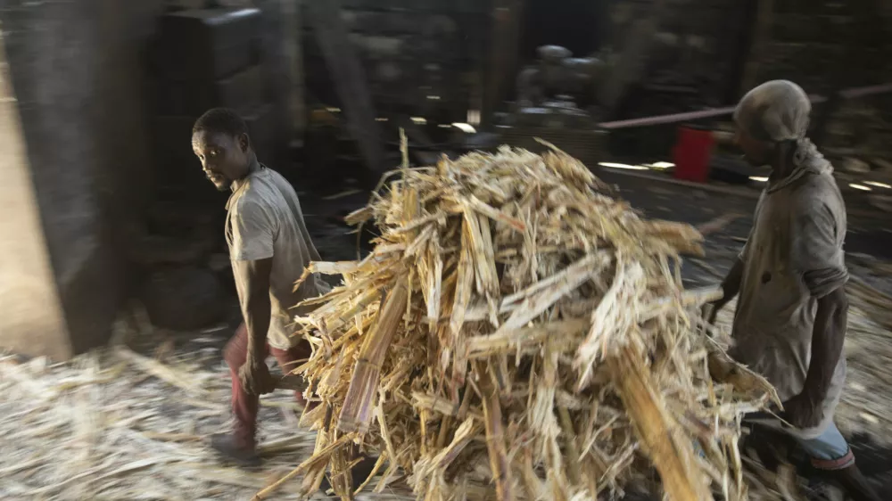Workers carry remaining sugar cane fibers after squeezing the juice out in Leogane, Haiti, Thursday, July 21, 2022. (AP Photo/Odelyn Joseph) / Foto: Odelyn Joseph