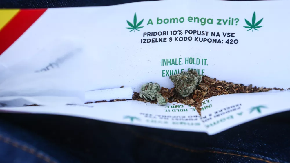 Zvijanje jointa, marihuana, kajenje marihuane, indijska konoplja- 22.04.2015 - Marihuana mar&scaron; 2015 - tradicionalni shod proti prohibiciji konoplje in za liberalizacijo zakonskega področja prepovedanih drog v organizaciji &Scaron;tudentske organizacije Univerze v Ljubljani;  //FOTO: Bojan Velikonja