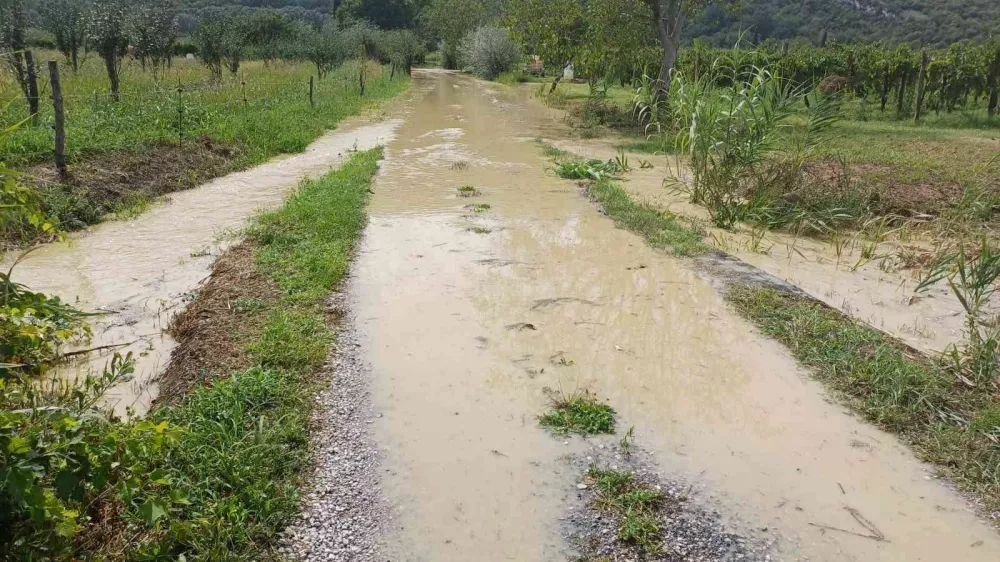 Dragonja 29. 8. Foto: Okolje Piran