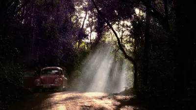 Nem&scaron;ka tovarna je v Braziliji prisotna že desetletja. Fotografija hro&scaron;ča sredi brazilskega temačnega gozda je seveda simbolična. / Foto: Istock