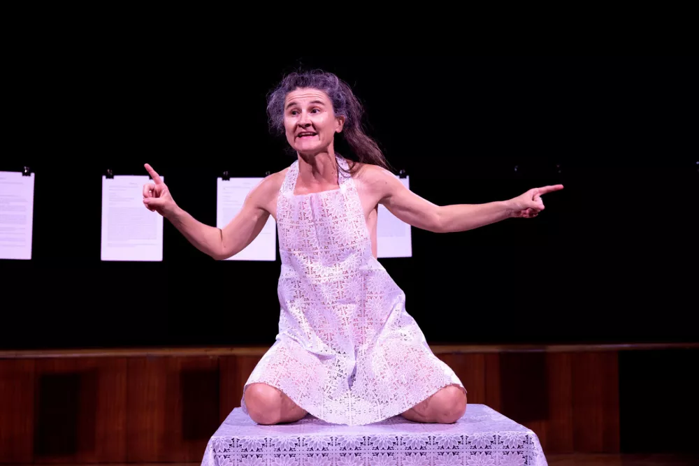 Festival Mladi levi navdu&scaron;il z mladimi ustvarjalci in drznimi vsebinami