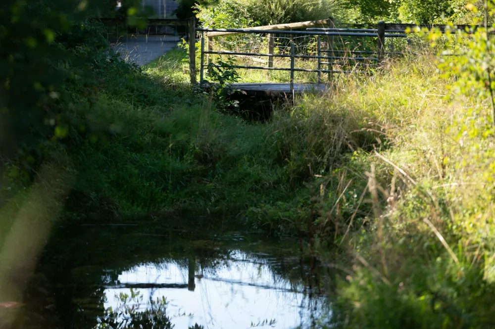 29 August 2025, Filderstadt: A bridge on the outskirts of Filderstadt. According to eyewitness reports, a suitcase containing a body was found near this bridge. Photo: Markus Lenhardt/dpa,Image: 1032296503, License: Rights-managed, Restrictions: GERMANY OUT, Model Release: no