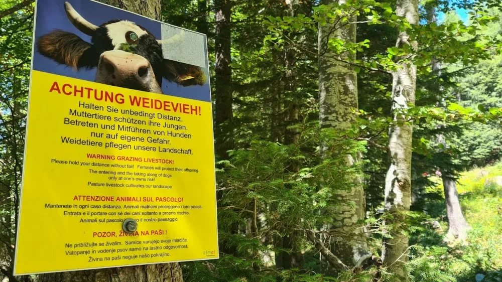 krave Avstrija planine gore