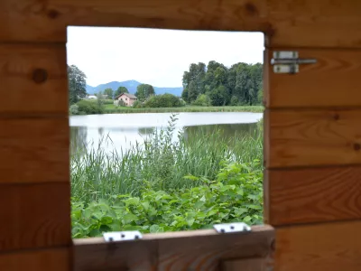 Zgodbe na&scaron;ih mokri&scaron;č