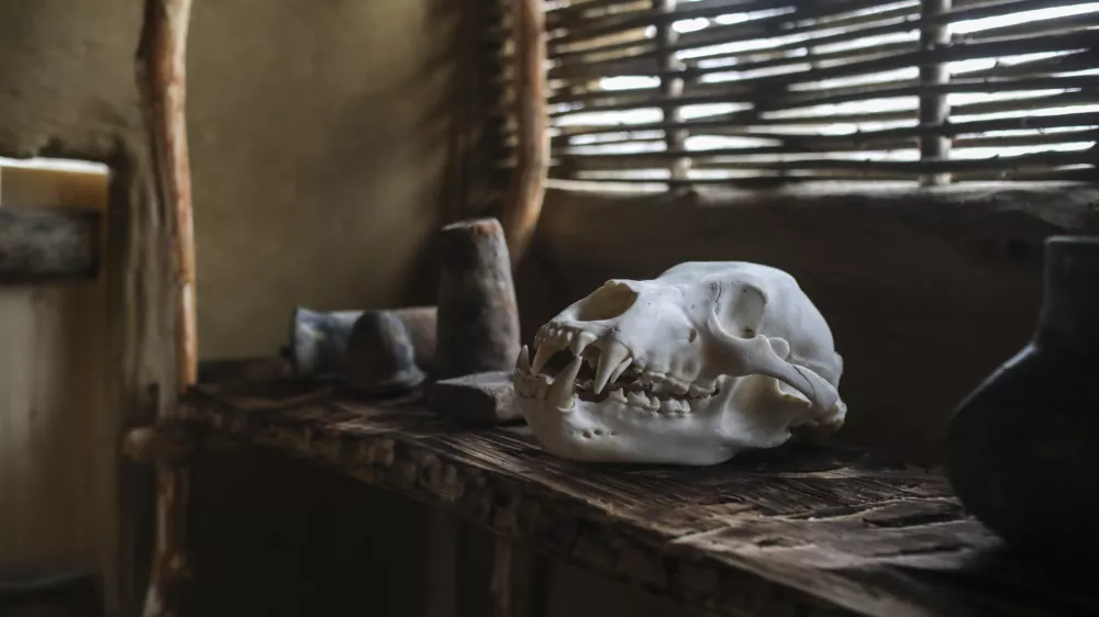 - koli&scaron;čarska naselbina Morostig &ndash; hi&scaron;a narave in koli&scaron;č. - 01.12.2022 &ndash; IG &ndash; Interpretacijski center - odprtje razstave in koli&scaron;čarske naselbine - zaključek operacije Interpretacija biotske raznovrstnosti in dedi&scaron;čine koli&scaron;č na Ljubljanskem barju (Na-kolih) //FOTO: Jaka Gasar