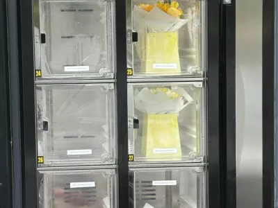 &Scaron;opkomat: cvetlični trend, ki postaja stalnica