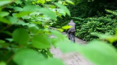 - japonski dresnik - trdoživi plevel iz vzhodne Azije na območju Viča, kolesar - kolesarstvo - starostniki - rekreacija    - 25.05.2015 - Agresivne tujerodne rastlinske vrste v Sloveniji - invazivna tujerodna vrsta - invazivne rastline -   //FOTO: Bojan Velikonja