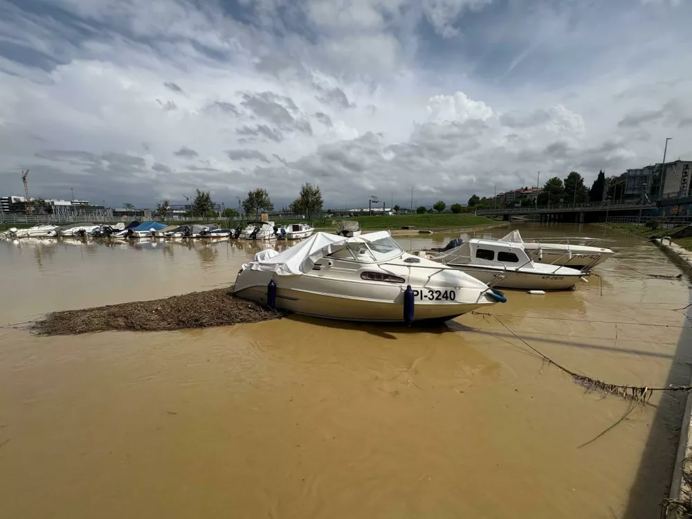 Neurje na Primorskem