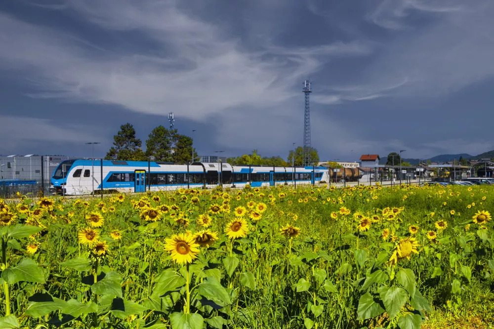 Foto: Mi&scaron;ko Kranjec