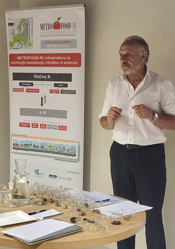 Roberto De Andreis, strokovnjak za namizne oljke, Imperia Ligurija / Foto: Katja Gle&scaron;čič 