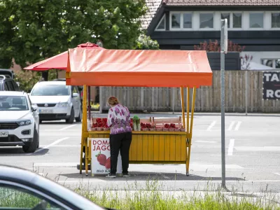 - 11.05.2021 &ndash; obcestna stojnica v Ljubljani Brdo - prodaja sadja in zelenjave ob cestah, //FOTO: Matjaž Ru&scaron;t