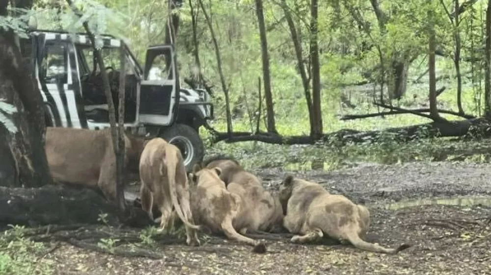 Safari World Park Bangkok