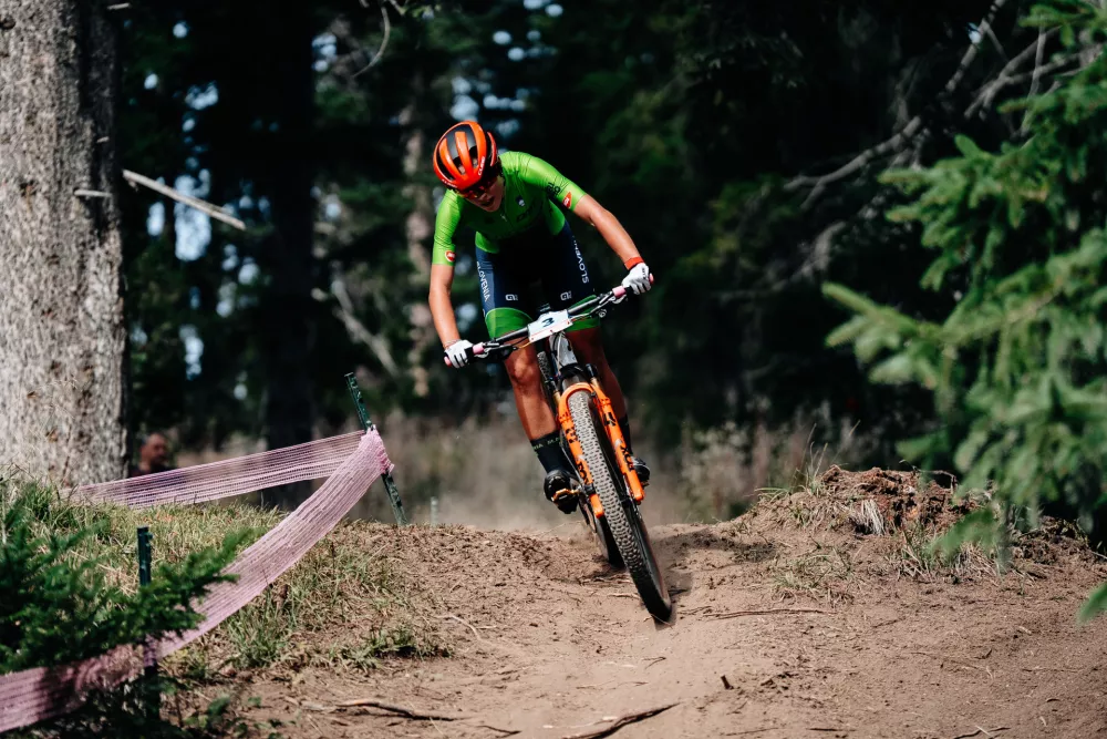 Maru&scaron;a Tereza &Scaron;erkezi