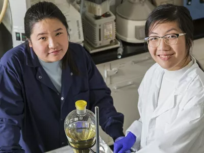 dasd askiajuo / Foto: Awff