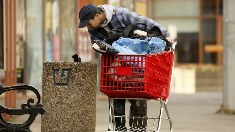 brezdomec ko&scaron; za smeti klo&scaron;ar