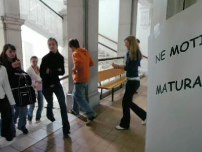 Gimnazija Poljane - matura - izbirni pisni del - sociologija - dijaki - Gimnazija Poljane,// FOTO: Luka CjuhaOPOMBA: ZA OBJAVO V ?ASOPISU DNEVNIK