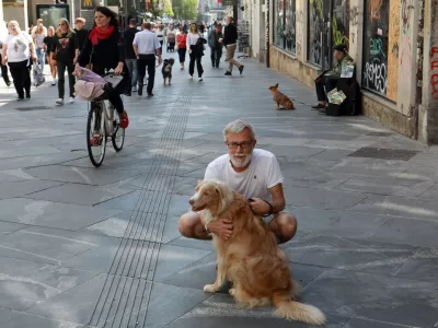 15.09.2025 - simbolična fotografija - pesFoto: Tomaž Skale