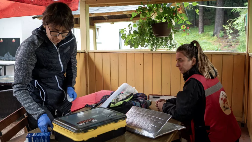 Medvedko Mici je pregledala tudi veterinarka. Foto: Four paws