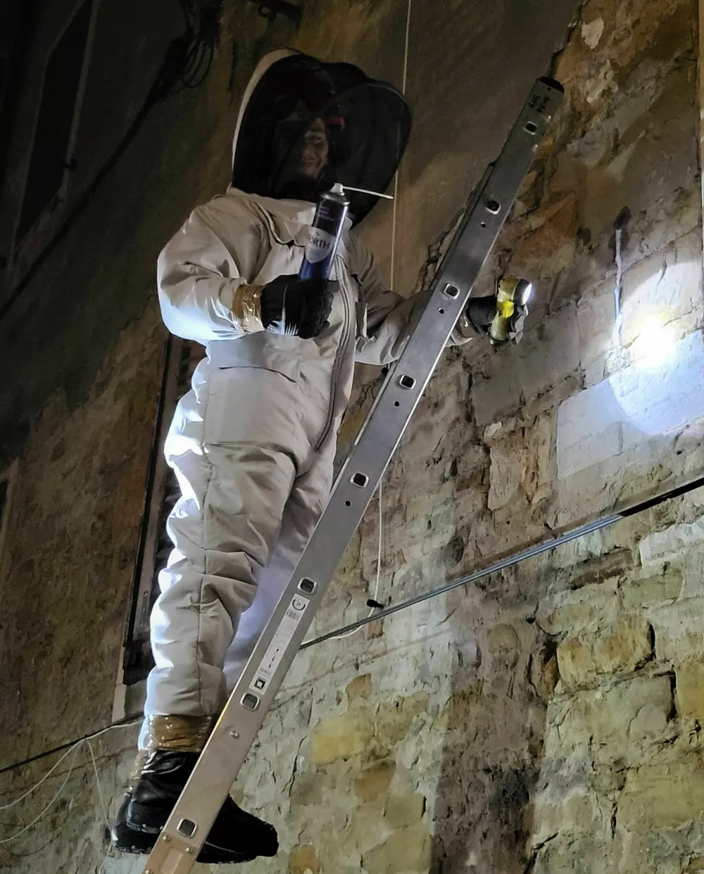 Orientalski sr&scaron;eni v Kopru