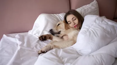 young girl in pajamas sleeps in bed with golden retriever dog, woman lies under blanket with pet and dreams