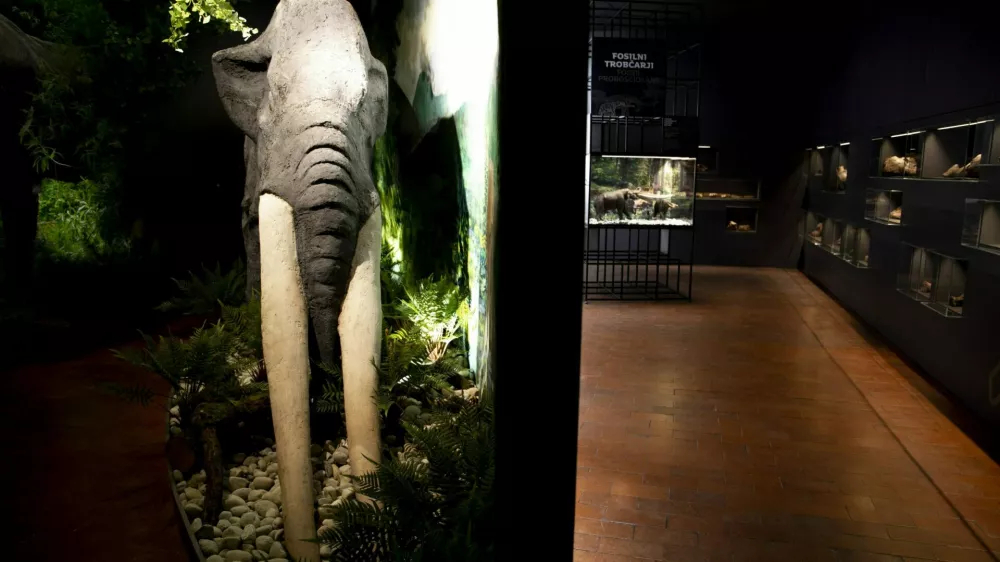 Muzej Velenje razstava mastodonti