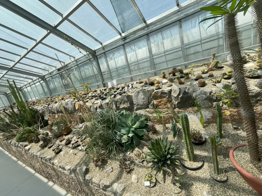 Nedeljska doživetja