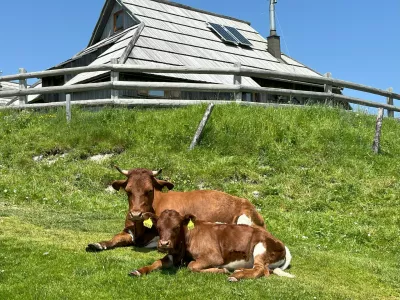 Nedeljska doživetja