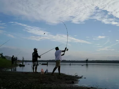 Participants try to catch giant snakehead fish at the Deduru Oya reservoir in Wariyapola, Sri Lanka, September 20, 2025. REUTERS/Thilina Kaluthotage