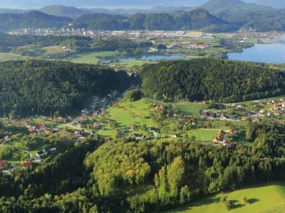 &ldquo;Bele lise&rdquo; ponekod ostajajo