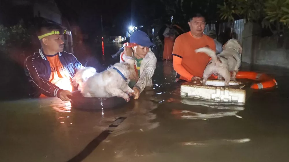In this handout provided by the Philippine Coast Guard, residents and their dogs are evacuated by rescuers as floods rise due to Typhoon Bualoi in Ormoc, Leyte province, Philippines, on Friday Sept. 26, 2025. (Philippine Coast Guard via AP)
