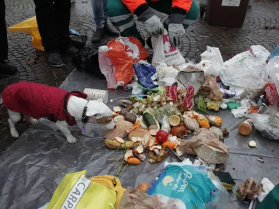 - simbolična fotografija - odpadki, odvržena - zavržena hrana - pes- - 05.12.2014 - delavnica Zadruge Buna in javnega podjetja Snaga Ljubljana z naslovom Obrnimo zabojnike v okviru katerega so pregledovali ljubljanske zabojnike in si ogledali, kaj vse Slovenci vržemo v smeti;,  //FOTO: Luka Cjuha.