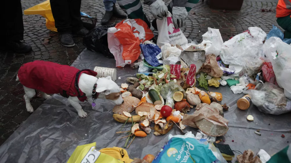 - simbolična fotografija - odpadki, odvržena - zavržena hrana - pes- - 05.12.2014 - delavnica Zadruge Buna in javnega podjetja Snaga Ljubljana z naslovom Obrnimo zabojnike v okviru katerega so pregledovali ljubljanske zabojnike in si ogledali, kaj vse Slovenci vržemo v smeti;,  //FOTO: Luka Cjuha.