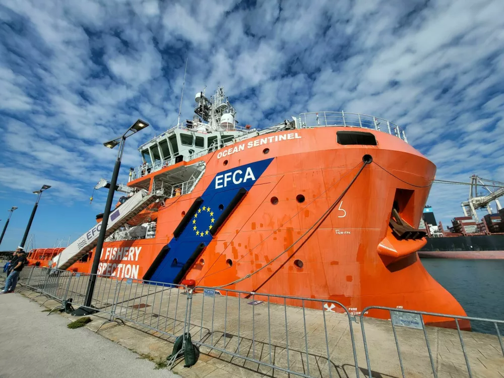 Ribi&scaron;ka in&scaron;pekcija v Kopru. Foto: Katja Gle&scaron;čič