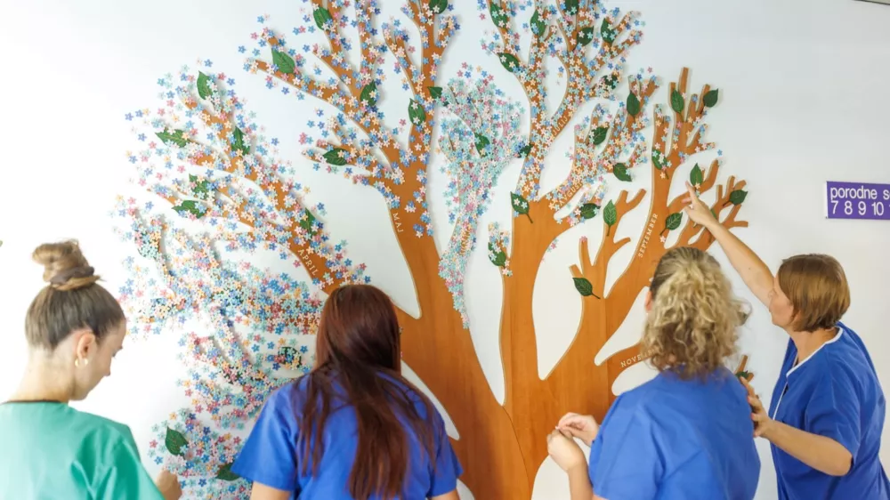 Steno porodne sobe krasi Vilmino drevo rojstev