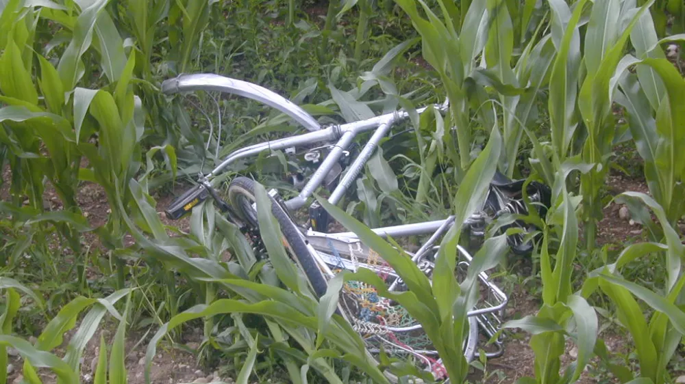 prometna nesreča kolo, 