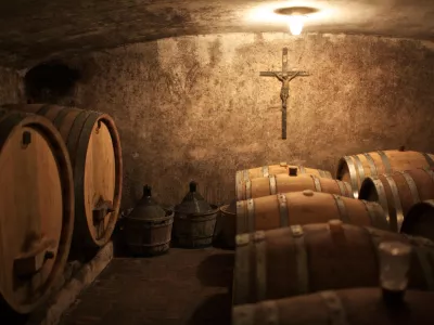 vinska klet Klinec - sodi - Medana - Gori&scaron;ka Brda - ekolo&scaron;ki vinarji - naravna orgamska vina, ///FOTO: Luka Cjuha OPOMBA: ZA OBJAVO V PRILOGI &ndash; DNEVNIKOV OBJEKTIV - INTERVJU