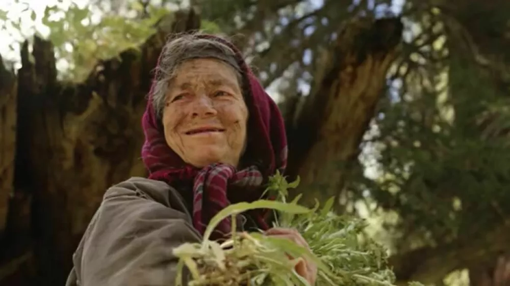 Agafija nabira zeli&scaron;ča in gozdne plodove, prav tako verjame, da je corona virus preživela zaradi molizve.  Foto: posnetek zaslona youtube